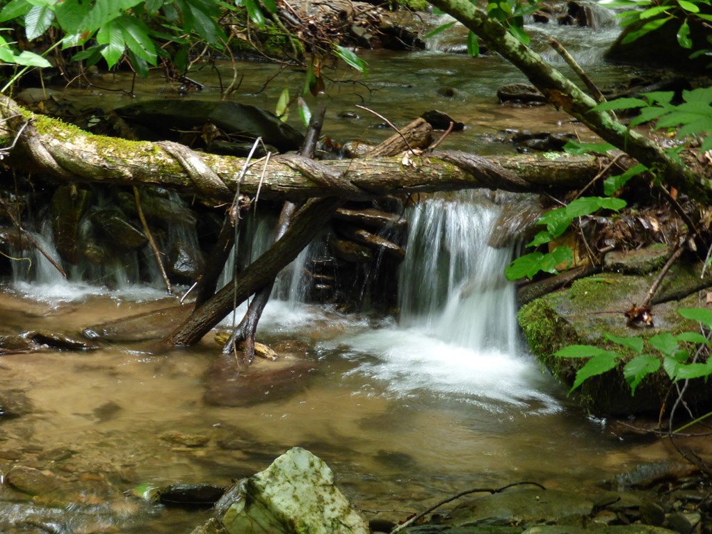 Beautiful Stream Out Back