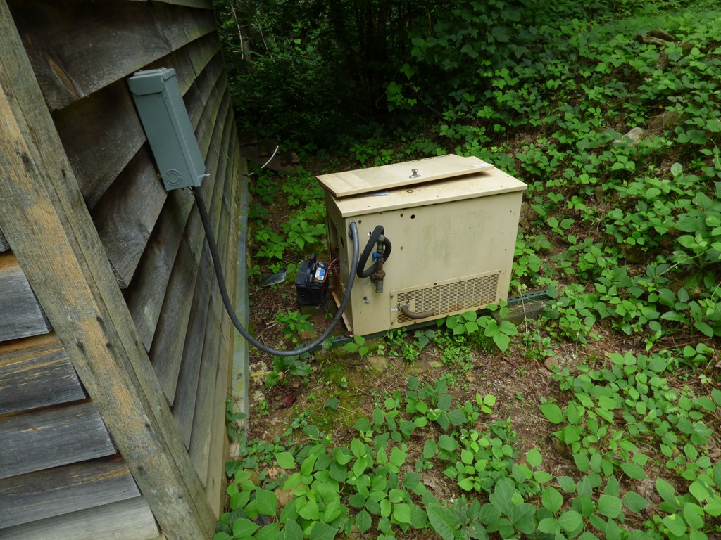 Generac Generator for Cabin