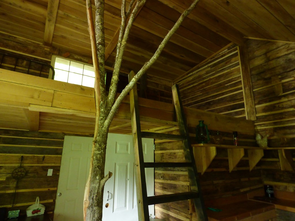 Ladder to Loft and Tree Decoration