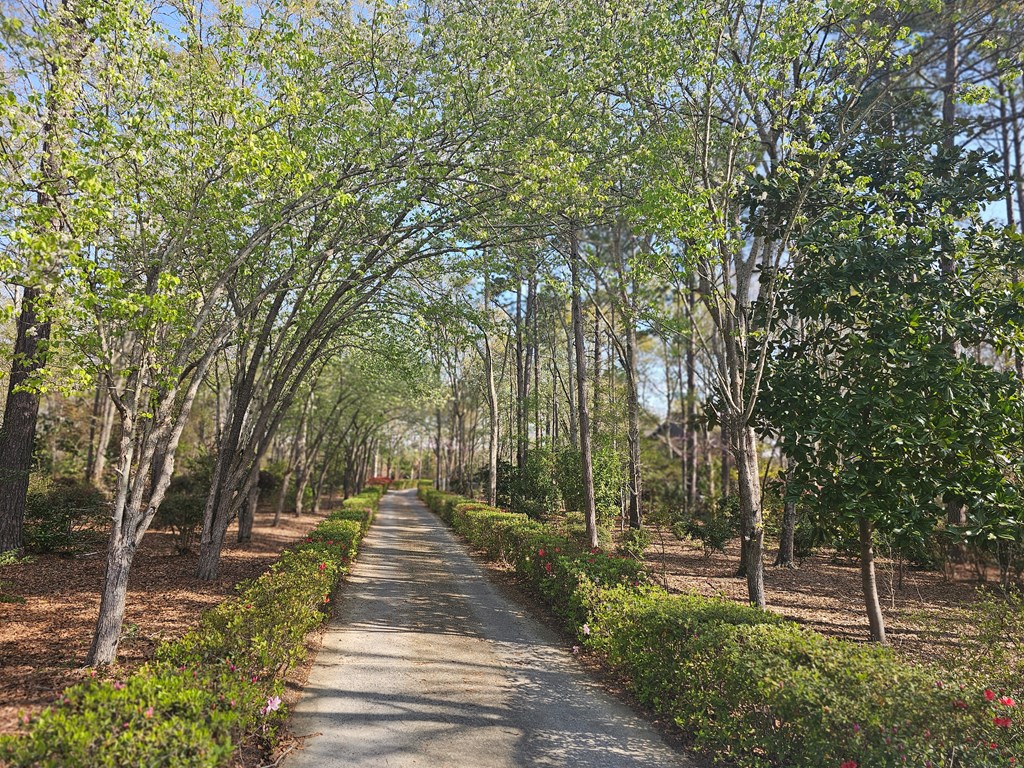 A garden like entrance