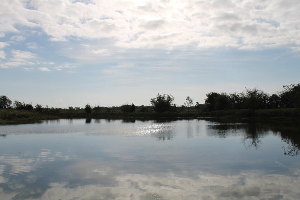 BEAUTIFUL PONDS