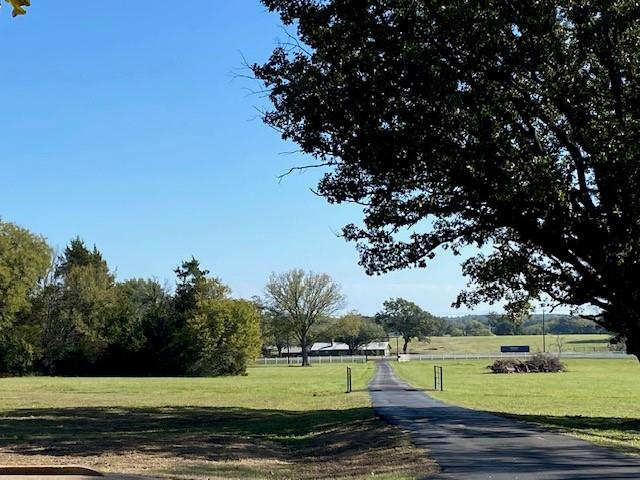 Grounds & Driveway View