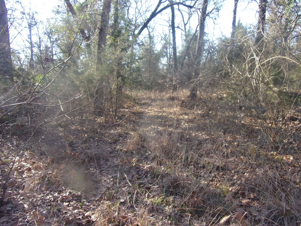 another view of the property