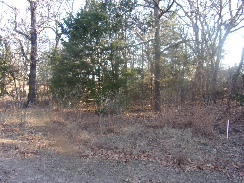 Lot from street at an angle (1/4 acre)