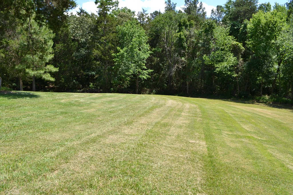 Large rear yard area