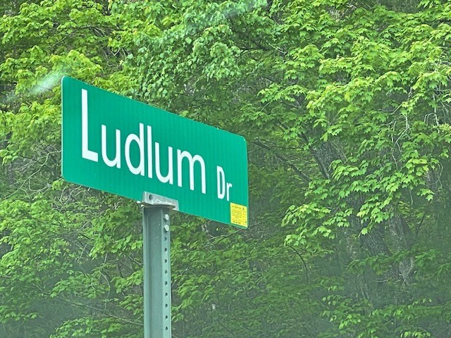 Corner Lot at Ludlum Dr and Ludlum Way