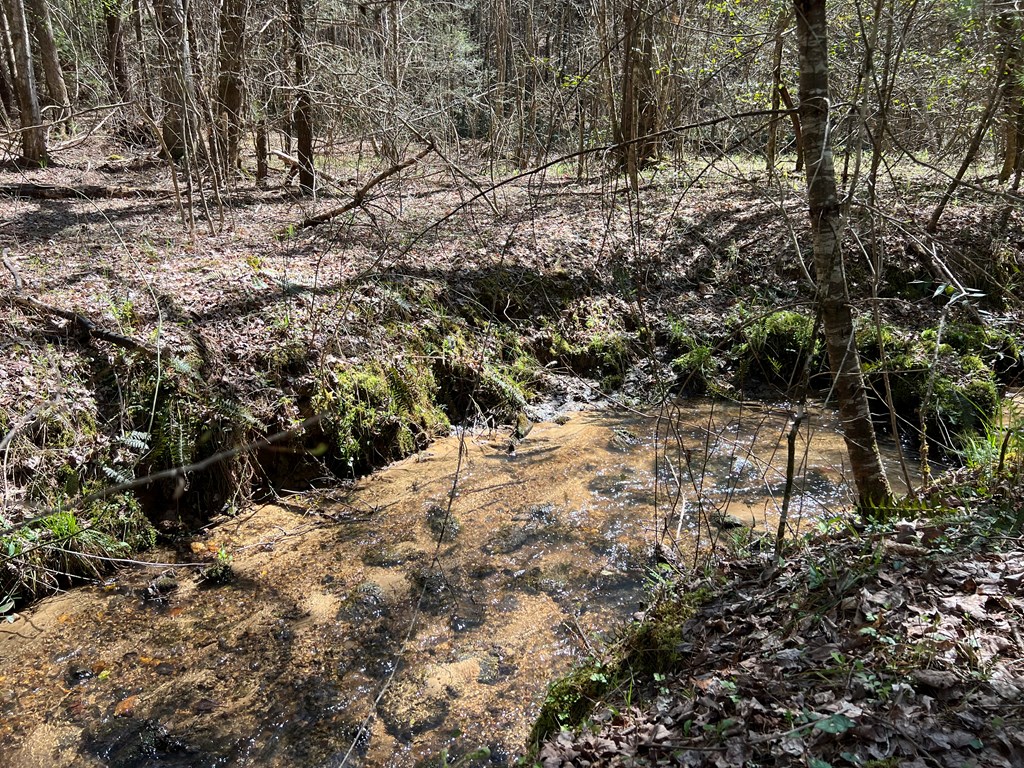 Winter View of creek