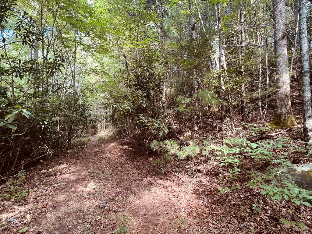 entrance area of property