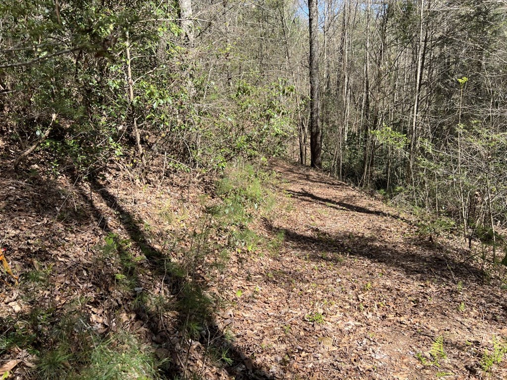 View of path by creek in Winter