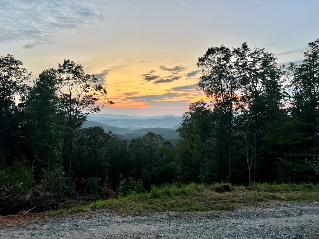 Sunset view of lot w/road