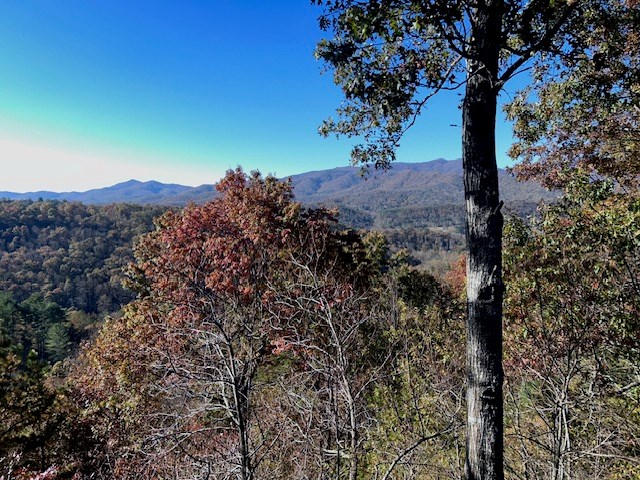 Stunning Views off Covered back deck