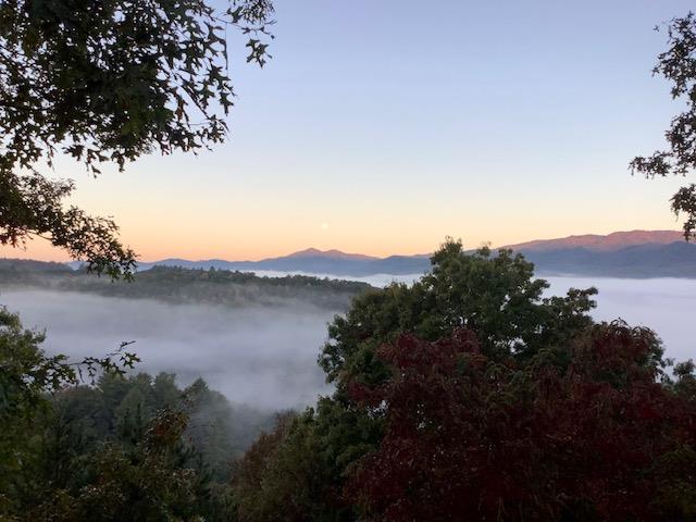 Fog on the Mountain