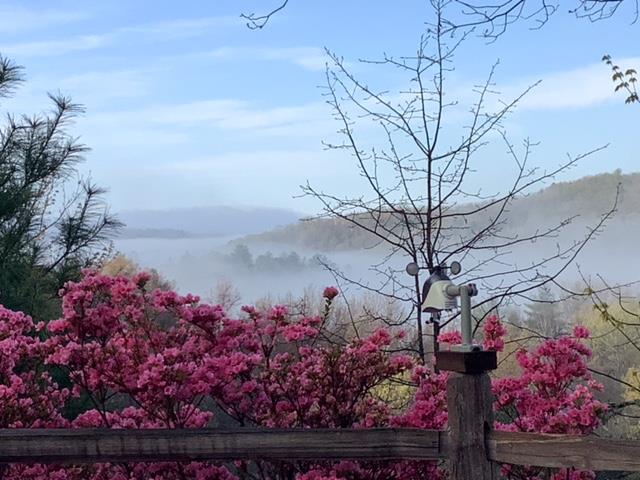 Fog On The Mountain