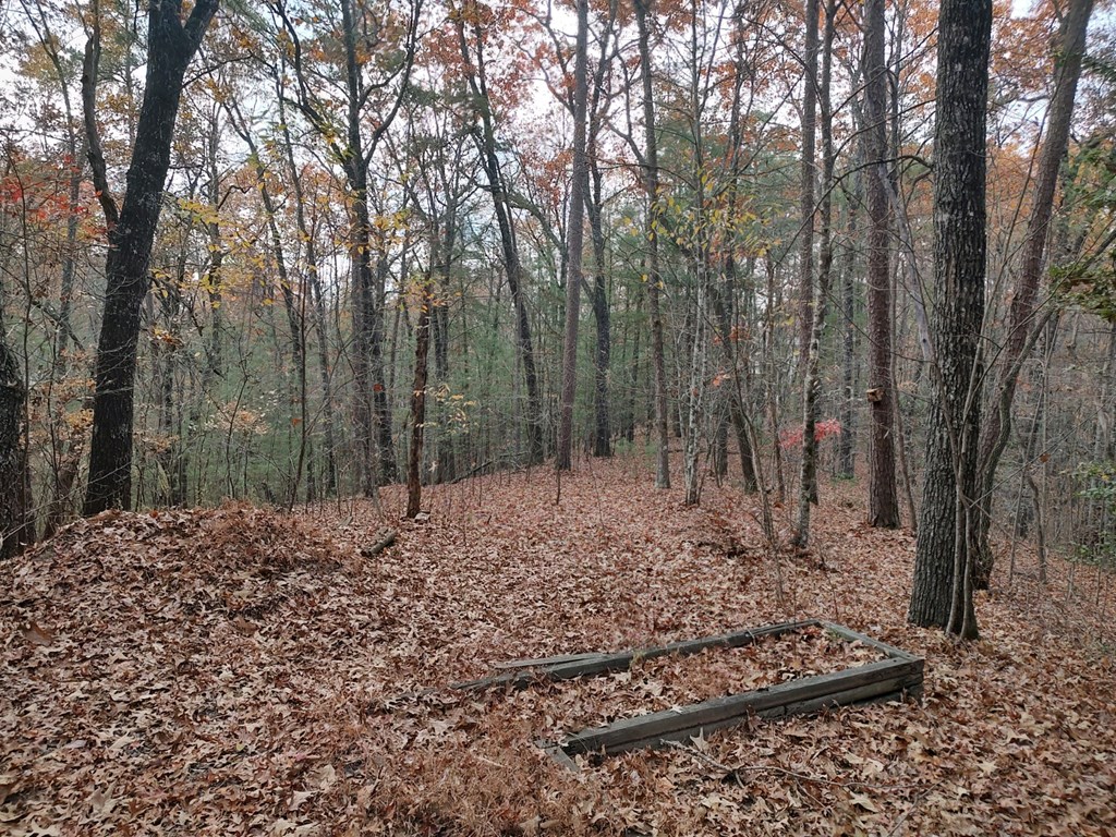 2nd Building Lot With Its On Septic