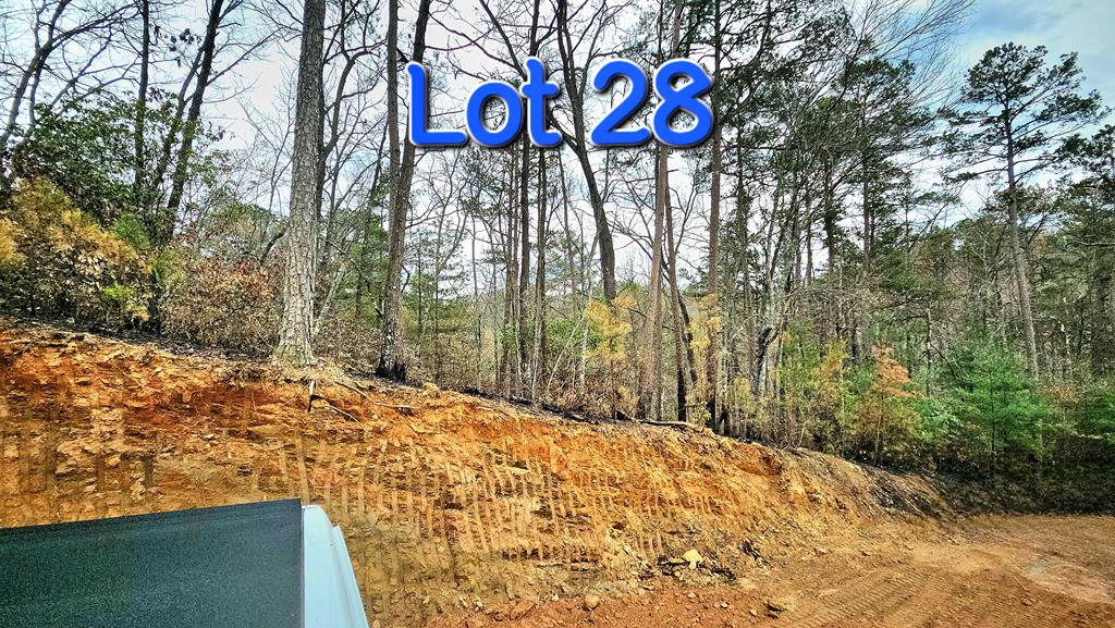 LOT 28  Back of property - Ridgeline