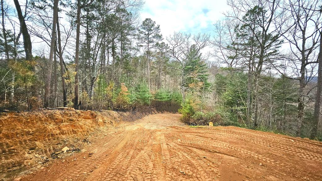 LOT 28 Driveway