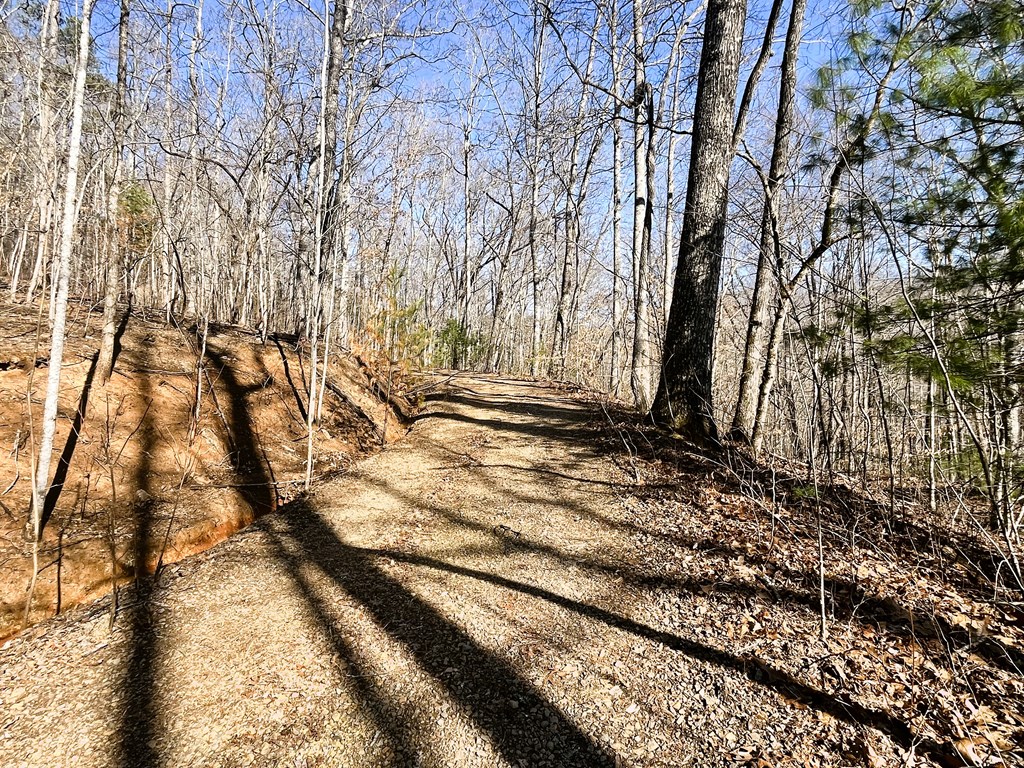 Lot on Both Sides of Road