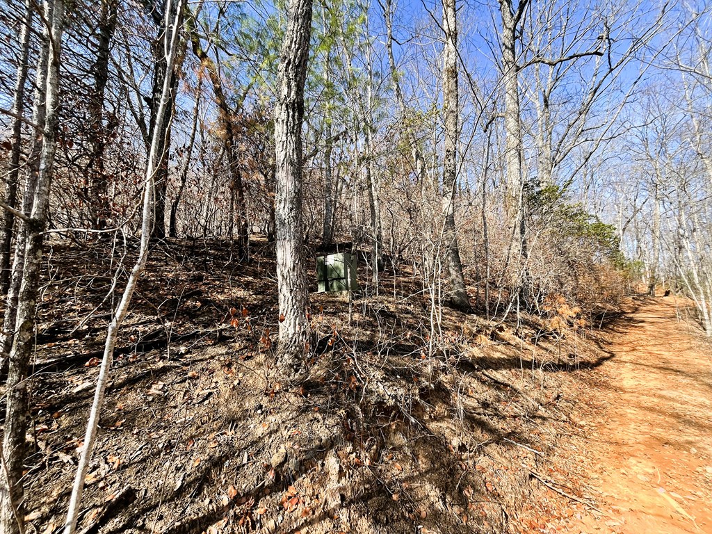 Underground Utilities at Lot