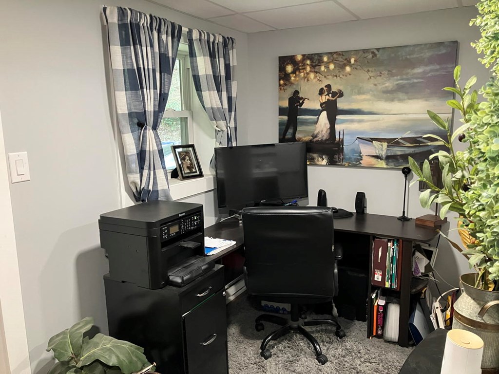 Basement Bonus/office