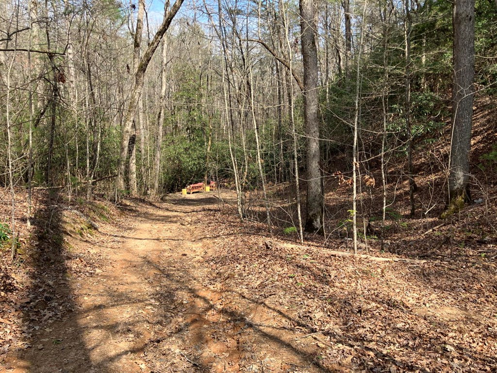 path to creek/sitting