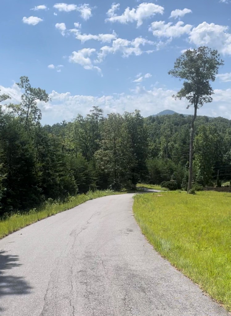 Paved subdivision Road