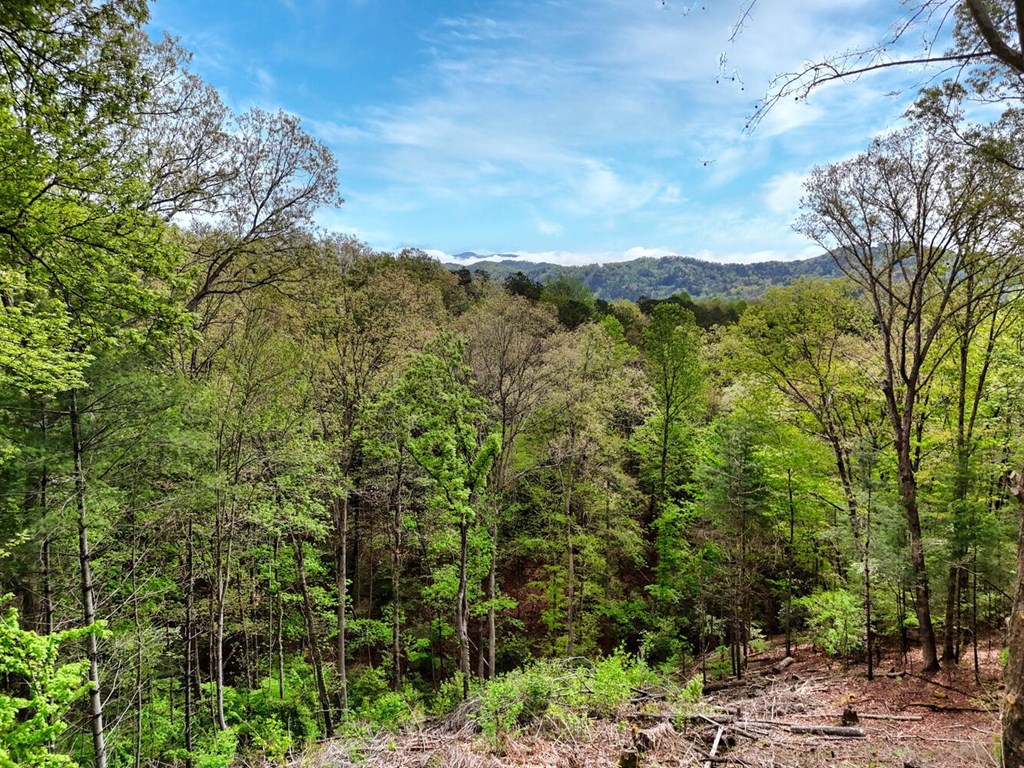 Mountain Views and Stream at bottom