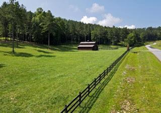 Community Stables