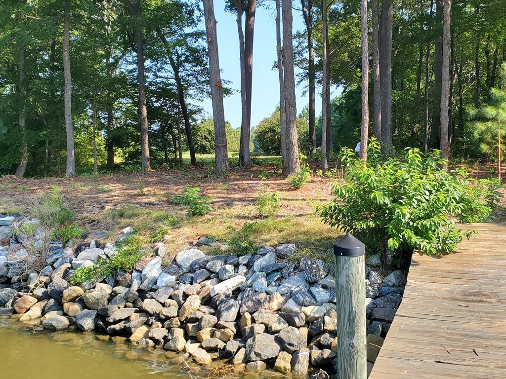 Beautiful Lot with Row of Crepe Myrtles at Emtrt P