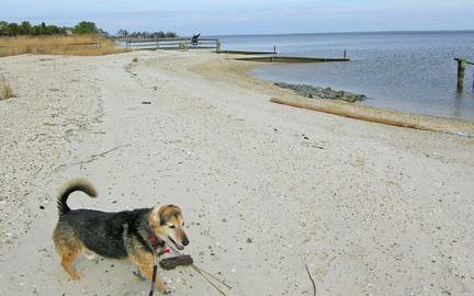 Community private Beach 