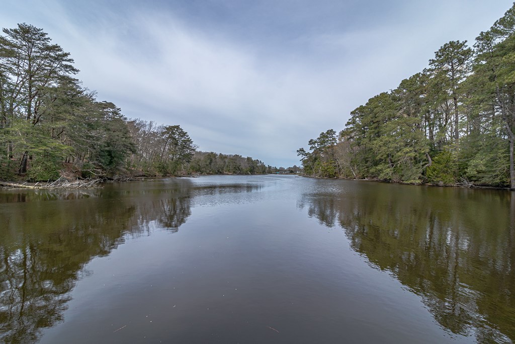 Bridge Creek