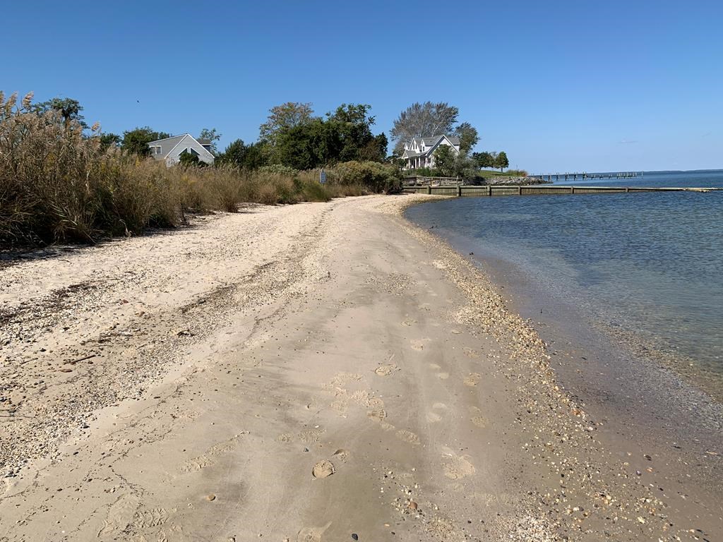 Community Beach