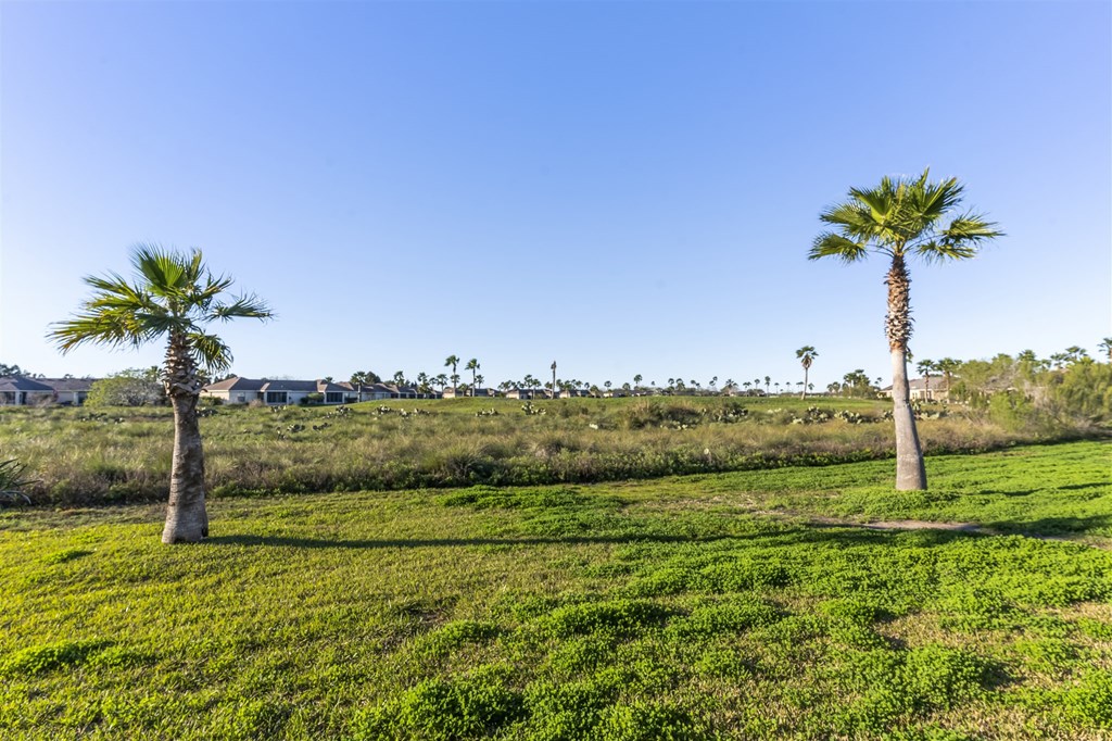 Private back yard view