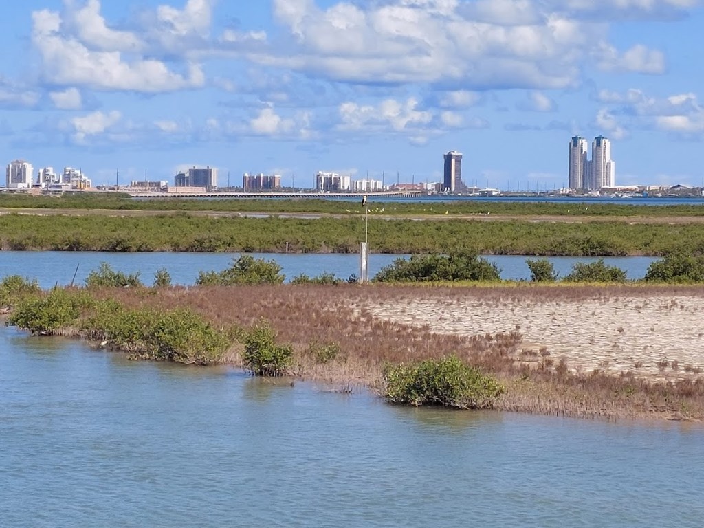 South Padre island view