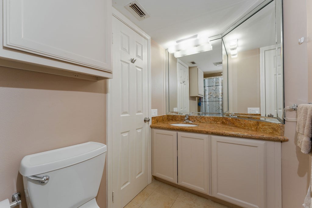 Master Bathroom Vanity