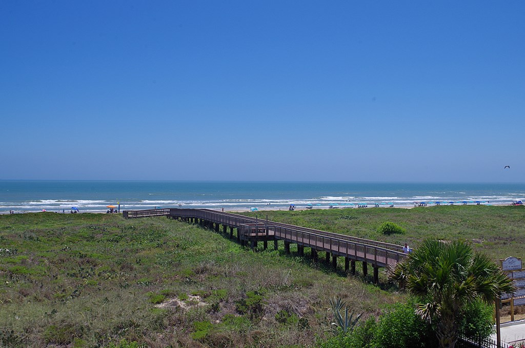 East Balcony View