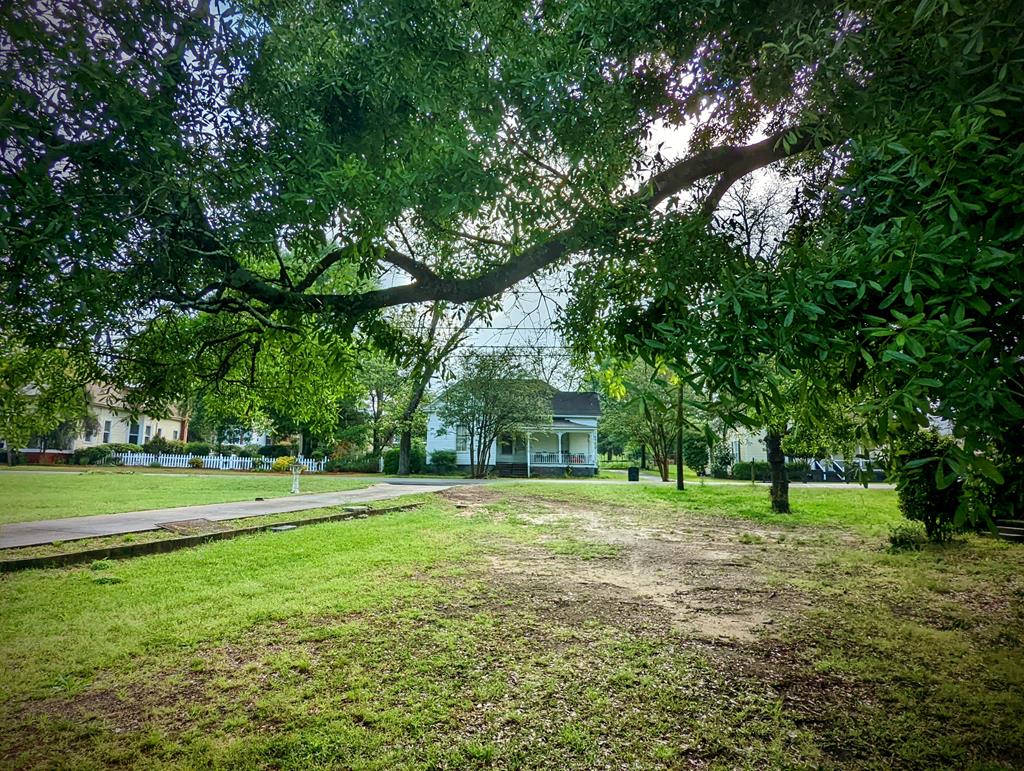 View to the of the Lot Interior