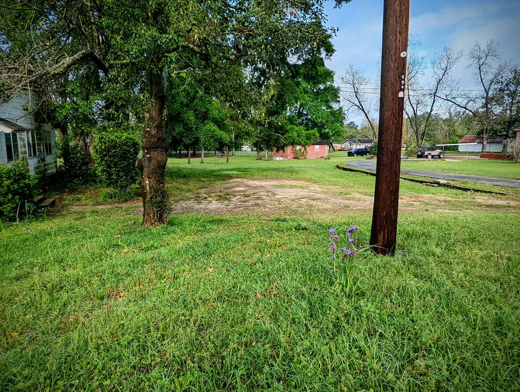 View from McLendon Street along South Property Bou