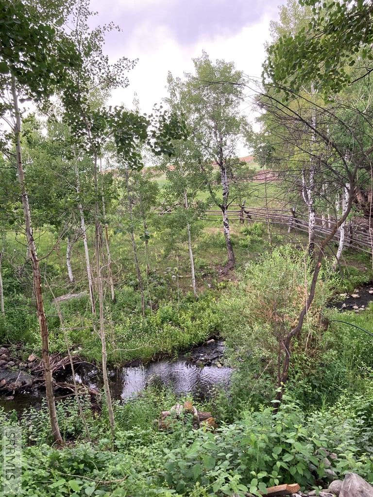 Creek frontage views