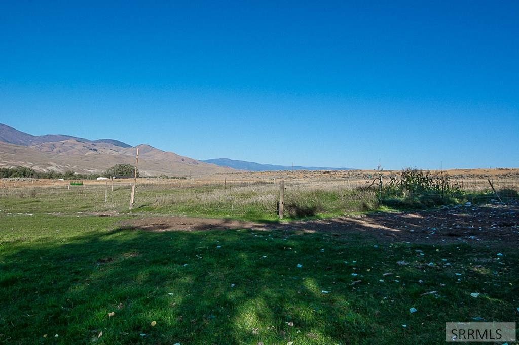 Pasture views