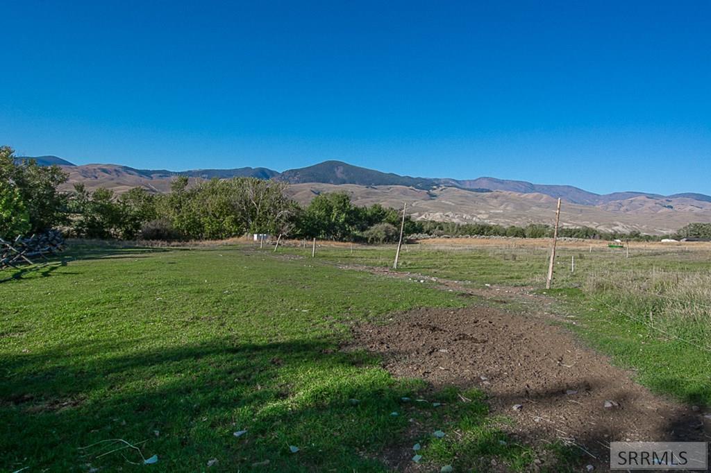 Pasture/mountain views