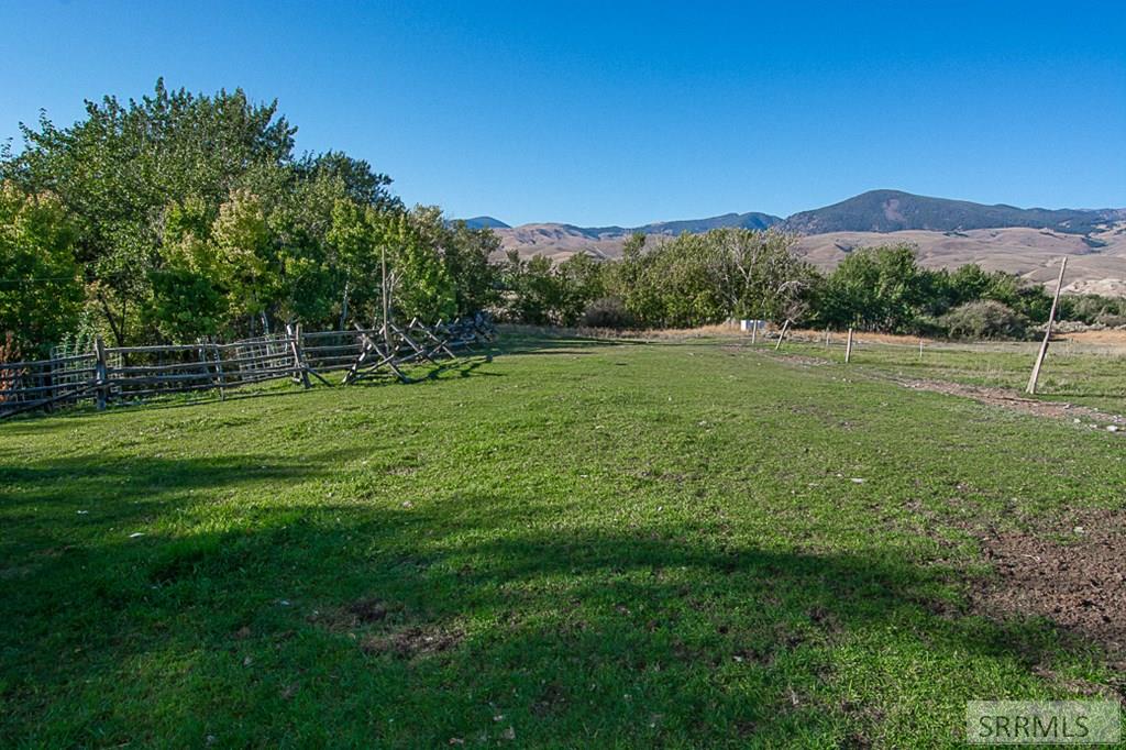 view of fruit trees/pasture