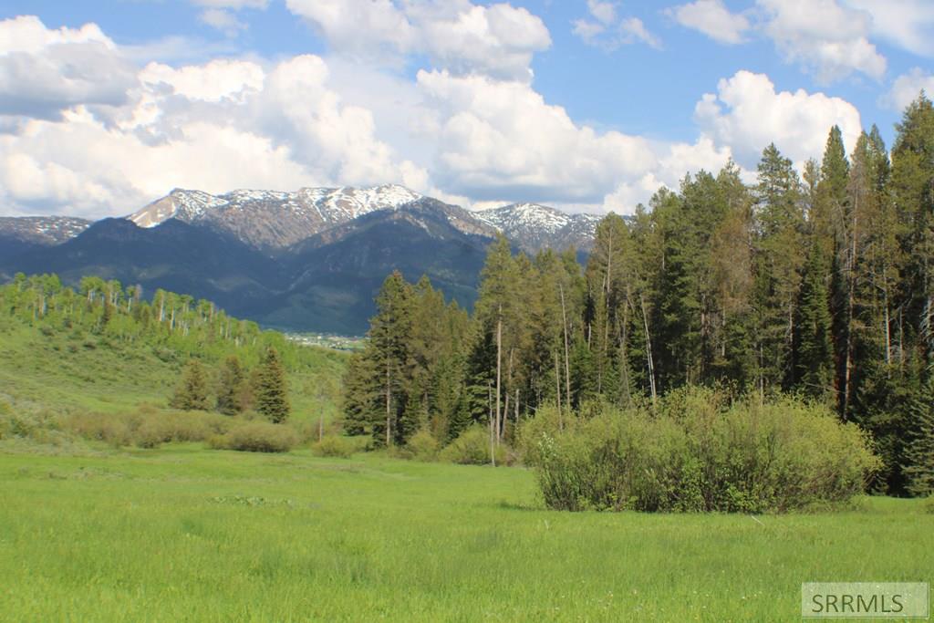 Meadow and wooded area on the property