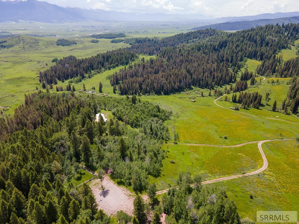 House and a lot of the property from aerial view