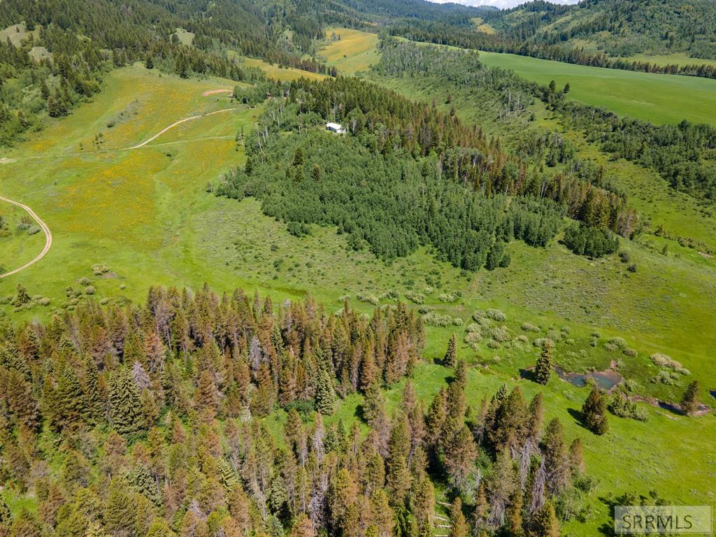 House and some of the property from aerial view