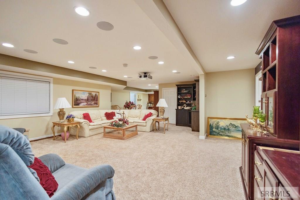 Basement Living Room