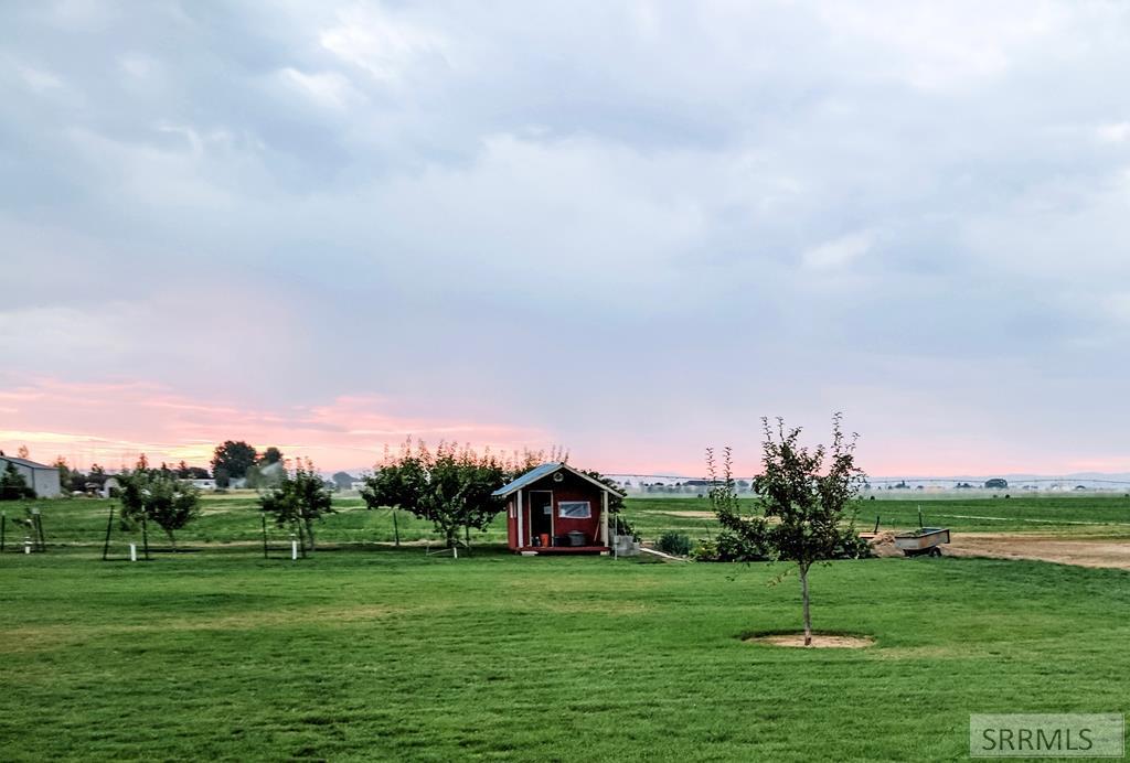 BACK YARD WITH TINY SHED