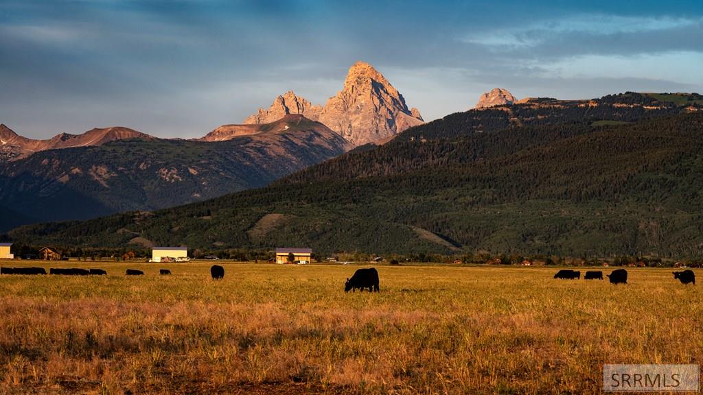 Grand cattle view, excellent water rights, pasture