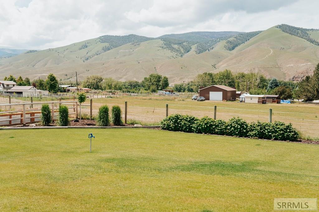 Exterior - Back Yard