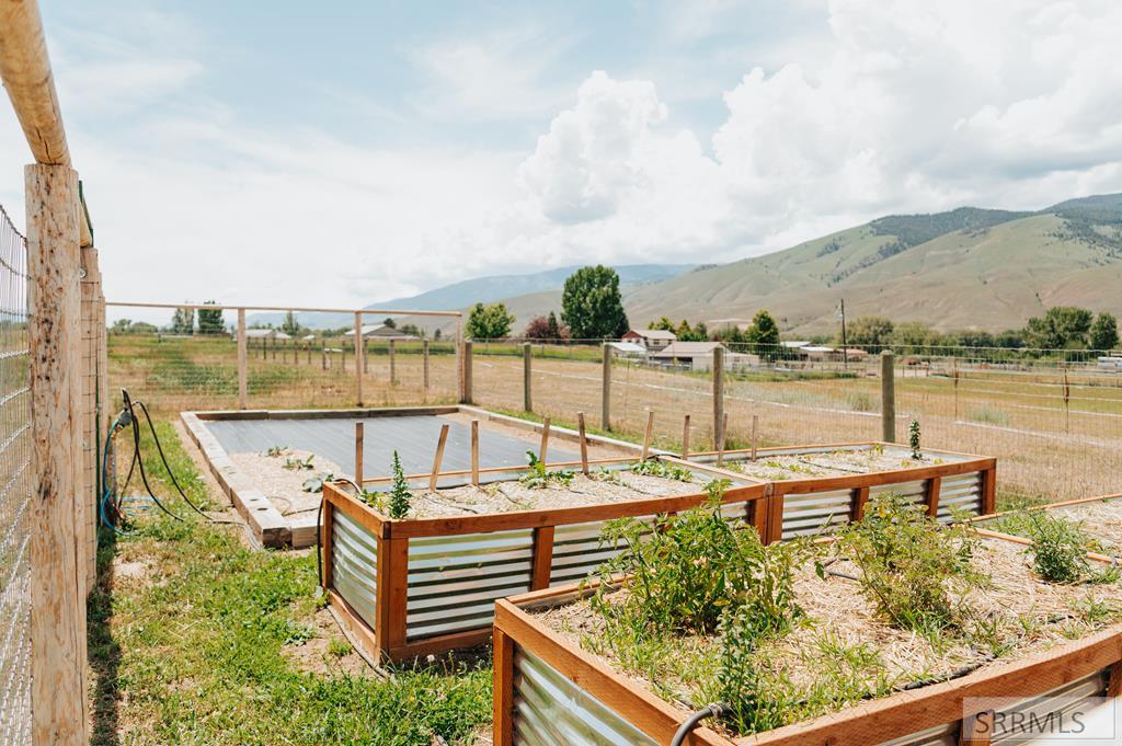 Fenced Garden Area