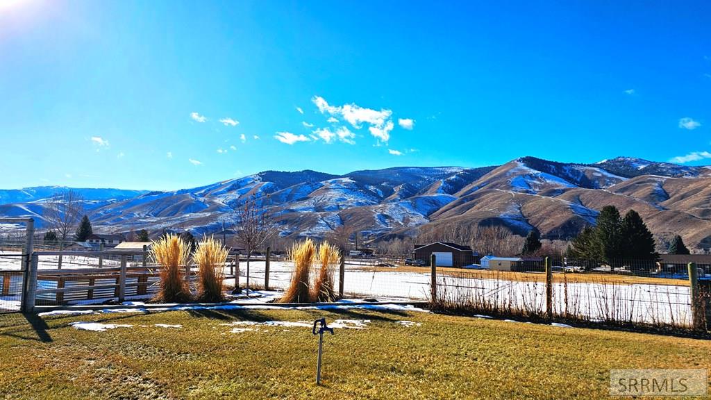 View from the Back Porch